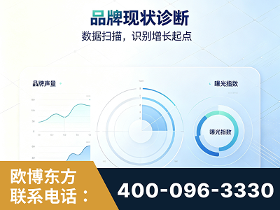 宁安-品牌现状诊断