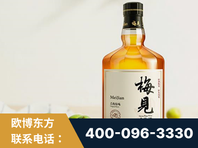 宁安-梅见青梅酒